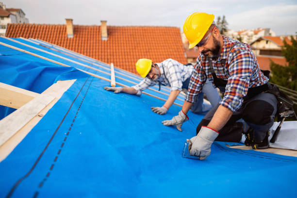 Best Roof Gutter Cleaning  in Beechwood Trails, OH